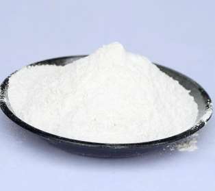 �������}�����|(zh��)�ͷ�����